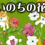 2015/7/12 ペットの王国ワンだランド感想 篠田麻里子号泣 殺処分ゼロへ!命の花プロジェクト