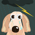 犬が雷や雷の音を怖がるのは本能のせい